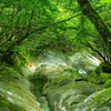 藤河内渓谷の撮影ガイド｜アクセス・撮影ポイント・装備まとめ