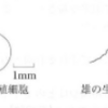 【中三応援プログラム】カエルの発生（２０１４年佐賀県）