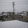 凄い！　今頃に雪が降った。