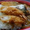 大口水産「サバカレー」
