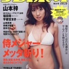 安藤沙耶香 野田彩加 グラビア切り抜き ヤングマガジン 講談社 2007年 安藤沙耶香 野田彩加 グラビア切り抜き ヤングマガジン 講談社