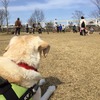 犬らしさを取り戻す場所