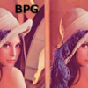 JPEG画像の約半分のファイルサイズで同品質のものを表示できる画像形式「BPG」が誕生、実際に使ってみるとこんな感じ
