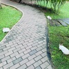 わたしはいつから涙を流すことを許してこなかったのだろう