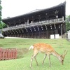 東大寺二月堂の節分と星供養。豆まきで福鈴を入手。