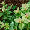 もう6月かぁ～～～