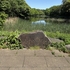 【子連れお出かけ】三ツ池公園（神奈川県鶴見区）｜アクセス・駐車場・おすすめポイント