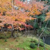 西芳寺(苔寺）　～禅寺の世界観を表す静謐な苔の庭　①松尾大社駅から西芳寺まで