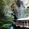 特別天然記念物 秋芳洞・秋吉台　山口県美祢市秋芳町秋吉　