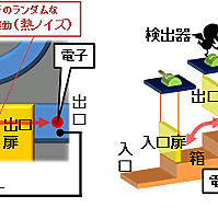 の 悪魔 マクスウェル