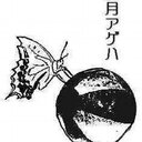 五月アゲハ
