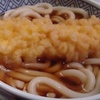 いか天ぷら　うどん