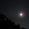今夜の月