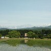 毛勝三山眺望の大倉山（１４４３ｍ）に登る！！