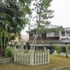 義経お手植えの松－山氏神社の境内