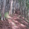 蕎麦粒山から天目山へ　（2018.7.3）