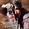 宙組 Never Say Goodbye 新公観劇レポ