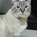 モリゴローの雑記帳