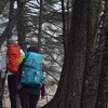 立冬の剣山遊山　転