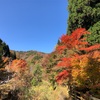 紅葉の山中湖&太平山プチ縦走