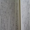 「ヒトラーに喩える」論、いくつかの視点で～たとえば「ヒロシマ」「ピカドン」の比喩表現とか