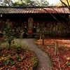 京都紅葉ー蓮華寺（洛北)