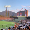 【プロ野球観戦】巨人×ヤクルト