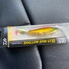 DAIWA / morethan SHALLOW SPIN 67S