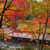 鳥居本・平野屋あたり