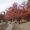 京都紅葉の旅2018　～その１６　鶏足寺その２～