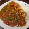 夏野菜カレー