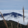 丹沢・塔ノ岳で雲海を見た