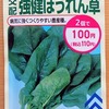 11月中旬からホウレンソウの水耕栽培に挑戦。毎度上手く育たないですが、今回はきっと大丈夫！なはずです