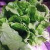 食べ始めました