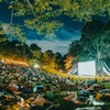 映画の魔法に包まれるオールナイト野外映画フェス「かつての水面と森の映画祭」9月に開催！