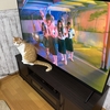 テレビを買い替えました📺