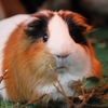 12月の多摩動物公園