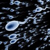 【妊活・妊娠】高齢の精子力、勃起力、精子の製造に必要な事を女性目線で！