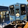 ユリカモメが乱舞していました～浜名湖遊覧（浜松市）