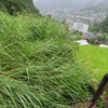 雨の一日でした！