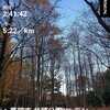 井頭公園で30キロ🏃‍♂️～11月21日～