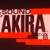 日本科学未来館「『AKIRA』の音」と刷毛じょうゆ海苔弁山登りさんの「海」とダイバーシティ東京ユニコーンガンダムと