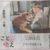 愛犬「小春」　久しぶり２回目の新聞一面掲載!(^^)!