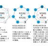 渋滞と平均自由行程