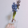 チーム論２と、その他もろもろ