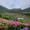 6月久住　みやま霧島　6月16日