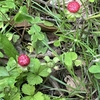 あっちこっち走り回って汗かいて