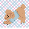 うちの犬は、私をつまらない人間だと思っている。