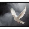 鳥がバカだと誰が決めた❓身近な鳥の代表、鳩さんが想像以上に賢いかも❗️