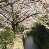 百寺巡礼-40-善気山法然院萬無教寺   2018/4/1